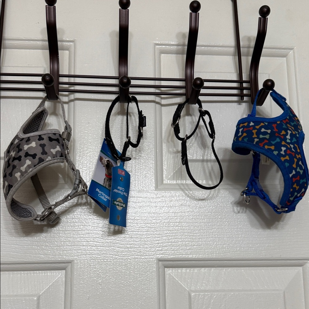 PetSafe Blue and Gray Dog Harness Set
